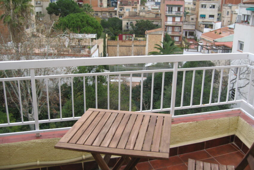 Imagen vallirana 002