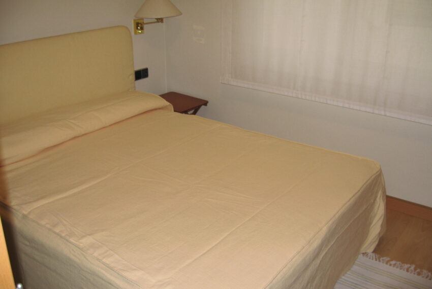 Imagen vallirana 010