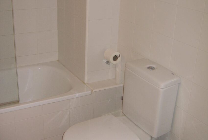 Imagen vallirana 012