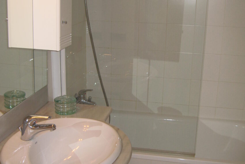 Imagen vallirana 013