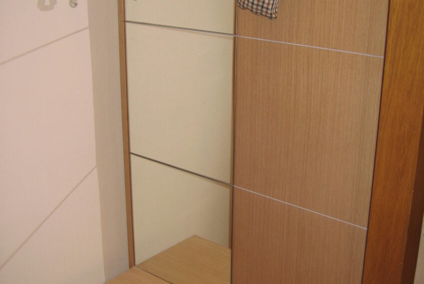 Imagen vallirana 016