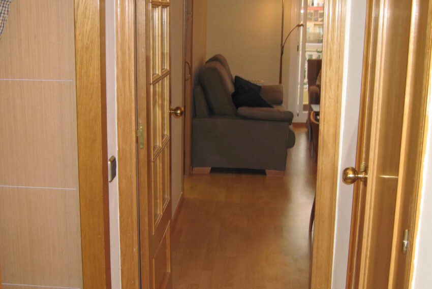 Imagen vallirana 017